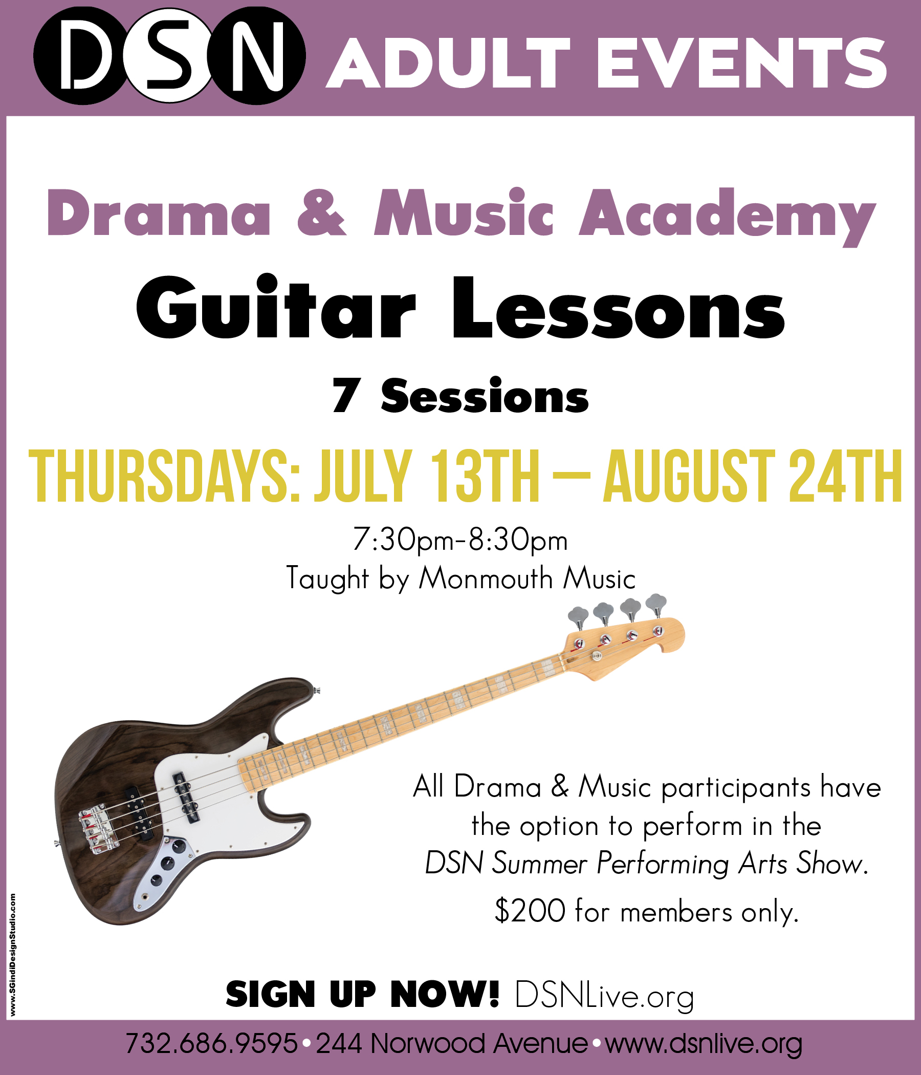 DSN Adult Guitar Lessons